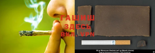 стаф Абаза