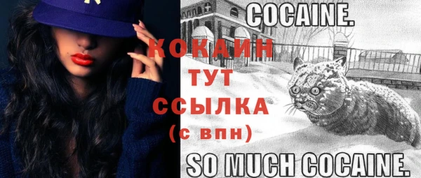 стаф Абаза