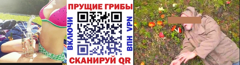 Псилоцибиновые грибы мицелий  Новочебоксарск 