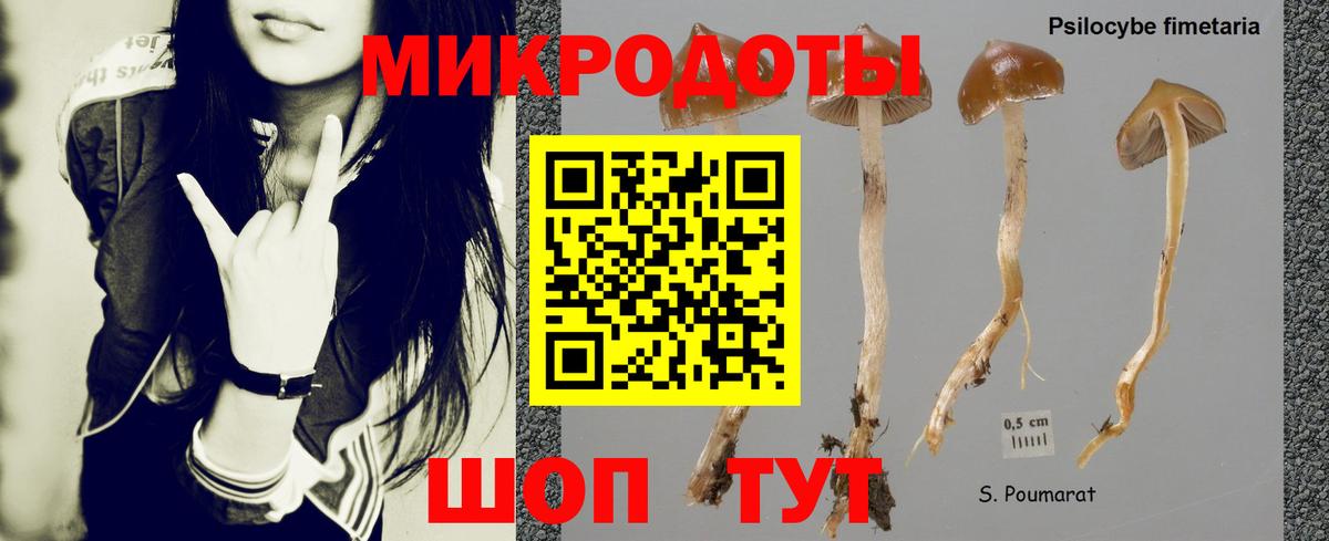 Галлюциногенные грибы Psilocybine cubensis Новочебоксарск