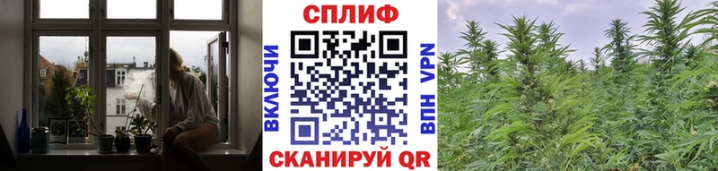 МАРИХУАНА планчик  Новочебоксарск 